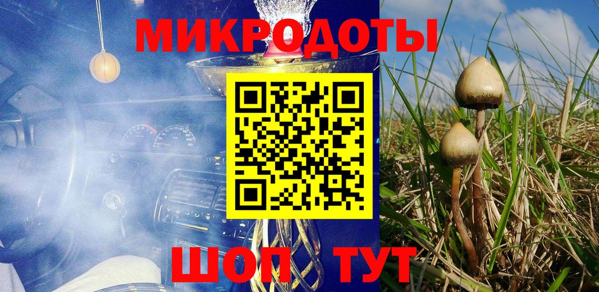 Коркино  Галлюциногенные грибы Cubensis  Вход с VPN 